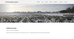 Desktop Screenshot of bjerre-harpoth.dk